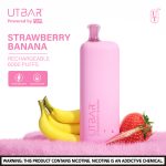 UT Bar Rechargeable Disposable (6000 Puffs)